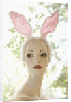 Mannequin Wearing Bunny Ears by Anonymous
