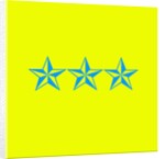 Blue Stars by Anonymous