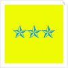 Blue Stars by Anonymous