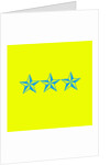 Blue Stars by Anonymous