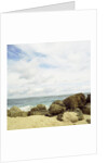 Rocks by the Sea by Anonymous