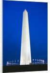 Washington Monument at Night by Anonymous