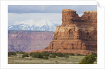Snowcapped Mountains and Rock Formations by Anonymous