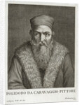 Portrait of Polidoro da Caravaggio by Anonymous
