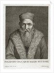 Portrait of Polidoro da Caravaggio by Anonymous