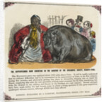 The Hippopotamus Now Exhibiting in the Gardens of the Zoological Society Print by Anonymous