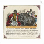 The Hippopotamus Now Exhibiting in the Gardens of the Zoological Society Print by Anonymous