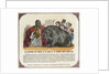 The Hippopotamus Now Exhibiting in the Gardens of the Zoological Society Print by Anonymous