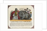 The Hippopotamus Now Exhibiting in the Gardens of the Zoological Society Print by Anonymous