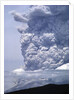 Mount St. Helens Erupting by Anonymous