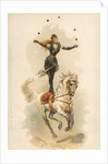 At the Circus Postcard by Anonymous