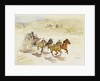 Pursuit by LaVere Hutchings