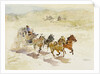 Pursuit by LaVere Hutchings