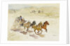 Pursuit by LaVere Hutchings
