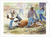 Spring Branding by LaVere Hutchings