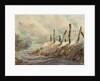 Posts in Sunshine by LaVere Hutchings