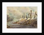 Posts in Sunshine by LaVere Hutchings