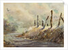 Posts in Sunshine by LaVere Hutchings