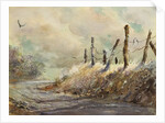 Posts in Sunshine by LaVere Hutchings