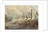 Posts in Sunshine by LaVere Hutchings