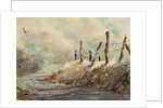Posts in Sunshine by LaVere Hutchings