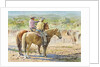 Splitting the Herd by LaVere Hutchings