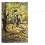 Spring at Dogtown by LaVere Hutchings