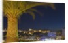 Skyline of Monte Carlo at Night by Anonymous
