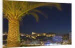 Skyline of Monte Carlo at Night by Anonymous