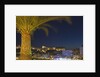Skyline of Monte Carlo at Night by Anonymous