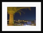 Skyline of Monte Carlo at Night by Anonymous