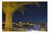 Skyline of Monte Carlo at Night by Anonymous