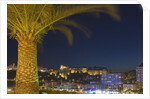 Skyline of Monte Carlo at Night by Anonymous
