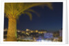 Skyline of Monte Carlo at Night by Anonymous