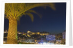Skyline of Monte Carlo at Night by Anonymous