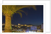 Skyline of Monte Carlo at Night by Anonymous