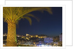 Skyline of Monte Carlo at Night by Anonymous
