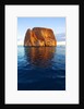 Kicker Rock in the Galapagos Islands by Anonymous