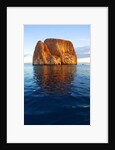 Kicker Rock in the Galapagos Islands by Anonymous