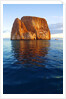 Kicker Rock in the Galapagos Islands by Anonymous