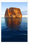 Kicker Rock in the Galapagos Islands by Anonymous