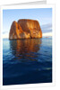 Kicker Rock in the Galapagos Islands by Anonymous