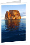 Kicker Rock in the Galapagos Islands by Anonymous