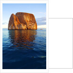 Kicker Rock in the Galapagos Islands by Anonymous