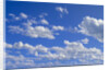 Cumulus Clouds Over Summer Tundra by Anonymous