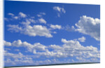 Cumulus Clouds Over Summer Tundra by Anonymous