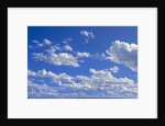 Cumulus Clouds Over Summer Tundra by Anonymous