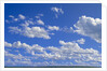 Cumulus Clouds Over Summer Tundra by Anonymous