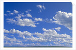 Cumulus Clouds Over Summer Tundra by Anonymous