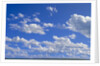 Cumulus Clouds Over Summer Tundra by Anonymous